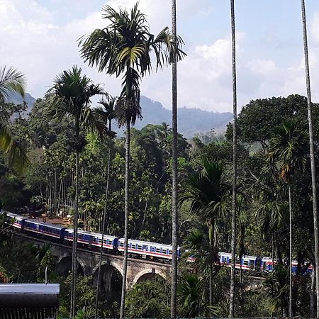 Nine Arch Araliya Homestay Ella Bagian luar foto