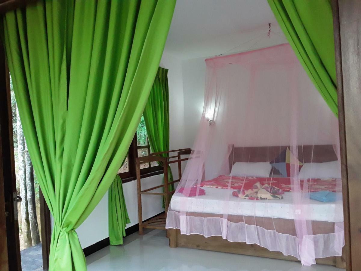 Nine Arch Araliya Homestay Ella Bagian luar foto